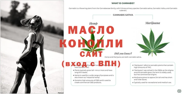ГАЛЛЮЦИНОГЕННЫЕ ГРИБЫ Абинск