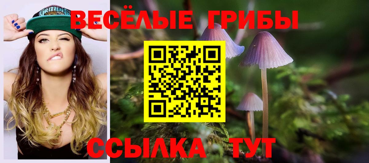 Приморско-Ахтарск  Псилоцибиновые грибы мухоморы  Вход с VPN  Псилоцибиновые грибы GOLDEN TEACHER 